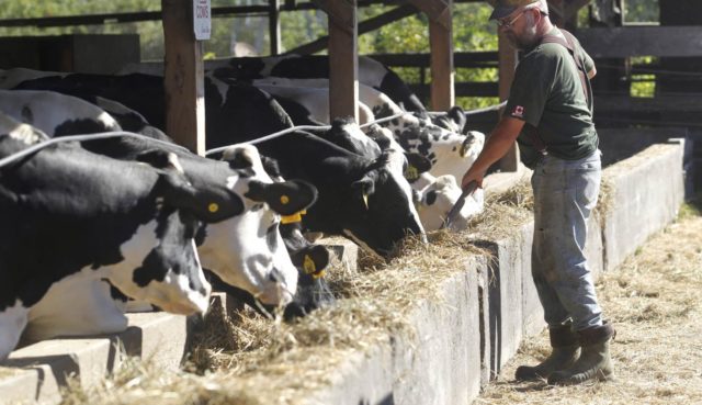 dairyfarmbanner
