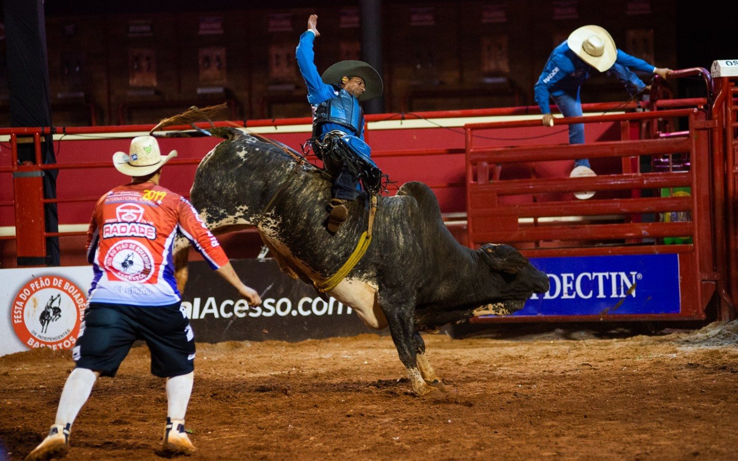 Barretos 2017: rodeio internacional - primeira noite; FOTOS, Festa do Peão  de Barretos 2017