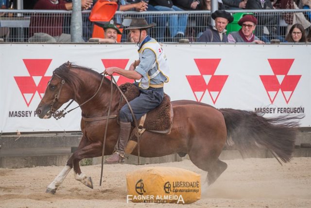 Cavalo Santa Alice Nublado II venceu na categoria macho, na tarde de domingo, em Esteio
