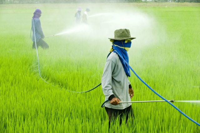 japao e o maior usuario de agrotoxicos do mundo