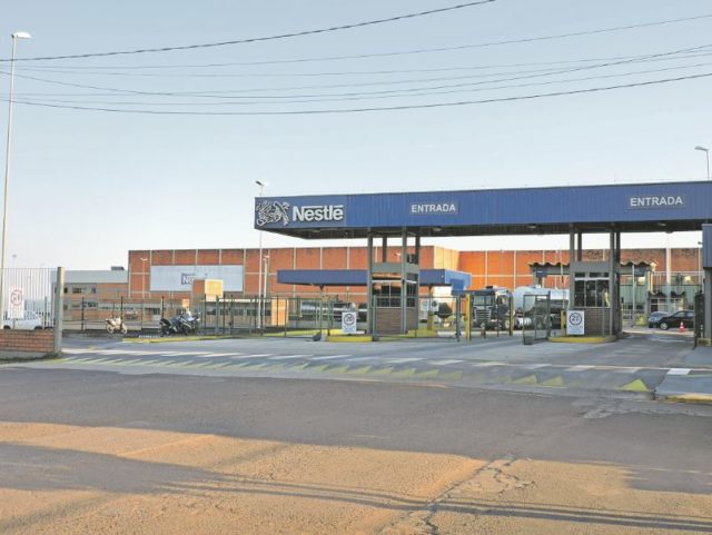 nestle em carazinho