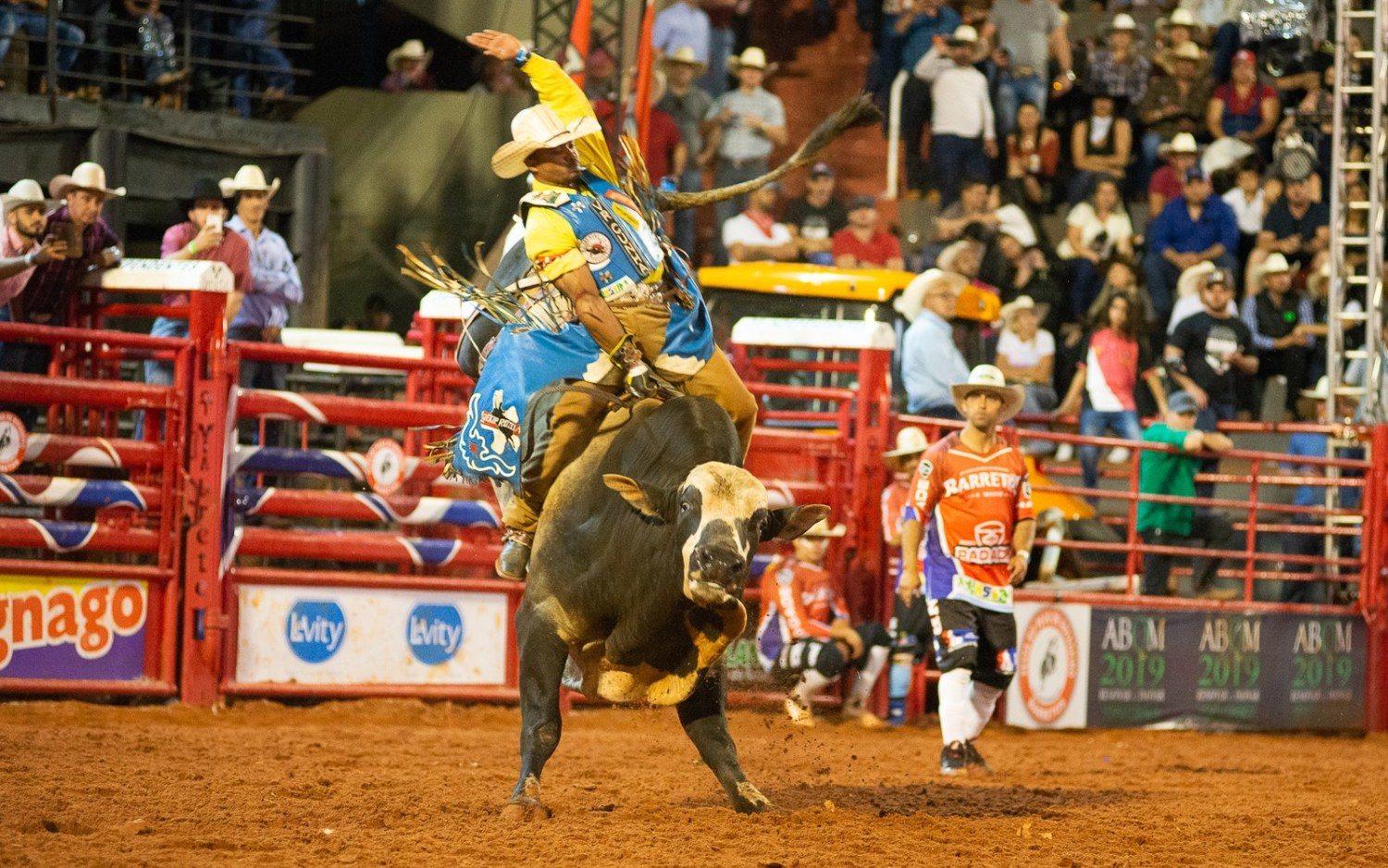 Peão campeão do rodeio de Barretos será recebido com festa em