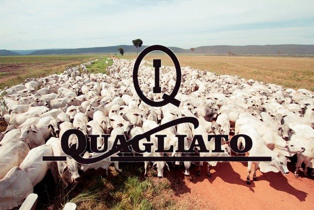 grupo Quagliato