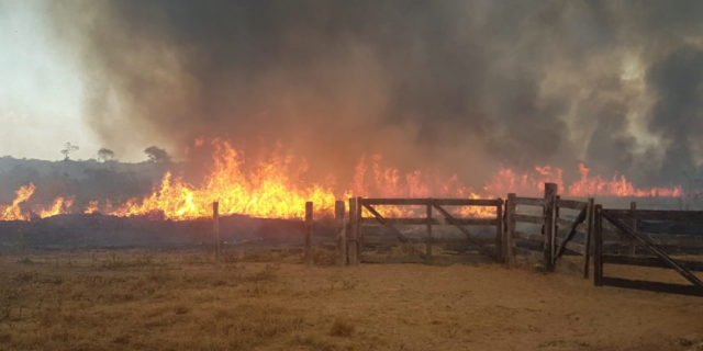 Incendio-proposital-dos-sem-terra-1140x570-1