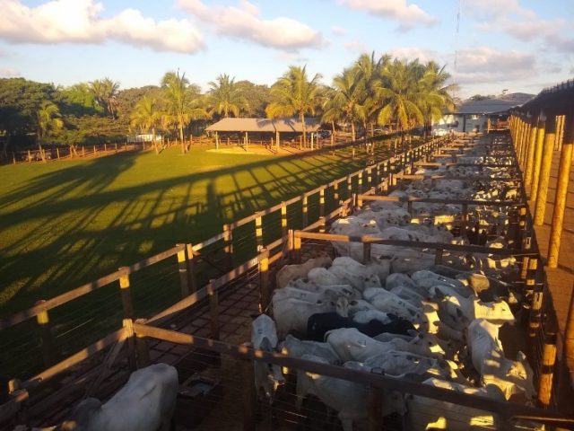 estancia orsi correa da costa 2
