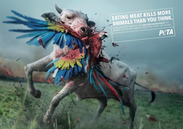 peta acusando agronegocio