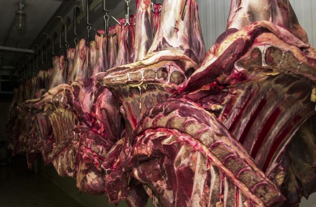 Carne fresca,Açougues, Frigoríficos, alimento