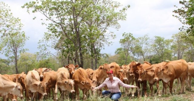 Destaque-Produção-Akaushi-Brasil