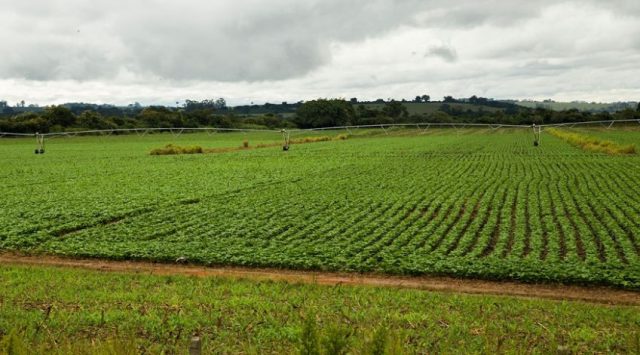 agrotoxico_produção-defensivos