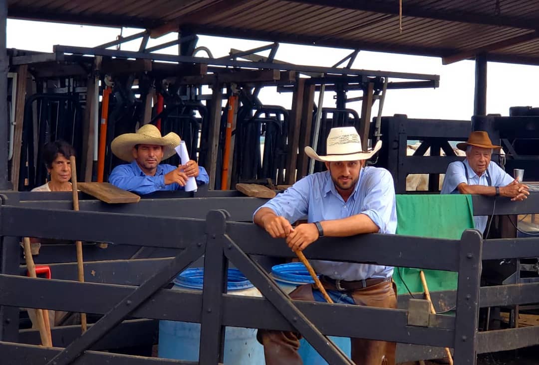 dia de lida na fazenda camparino