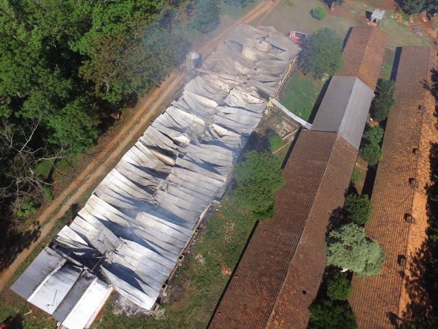 Incêndio destrói chiqueiro e mata mais de 1400 porcos
