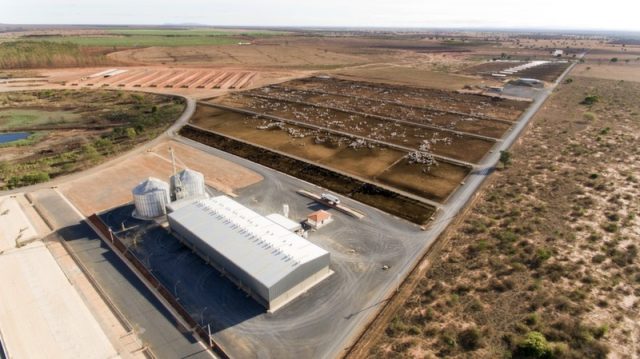 confinamento fazenda santa monica 2