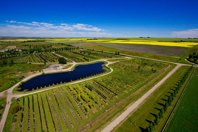 drone_farm