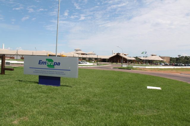 embrapa