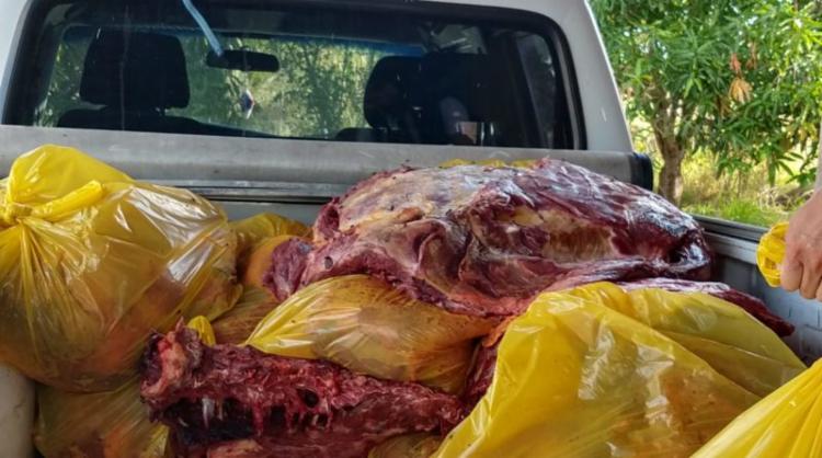 A Gazeta  Abatedouro clandestino vendia carne de cavalo como se fosse de  boi no ES