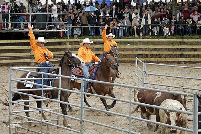 Immagine-Team-Penning