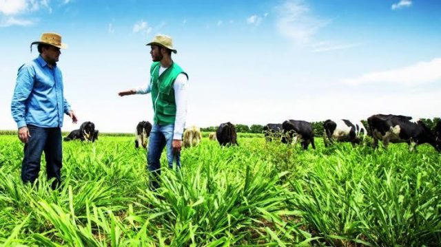agricultura sustentável