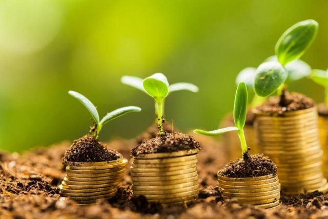 cooperativa vai distribuir 100 milhões