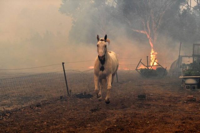 Incêndio na Austrália
