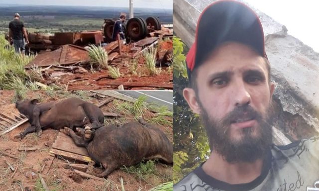 ACIDENTE CARRETA BOIADEIRA