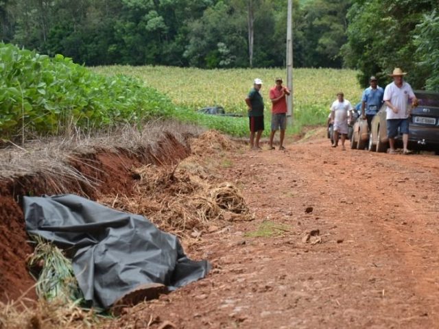 Agricultor-morre-picado-enxame-de-abelhas-no-RS-chapeco-org