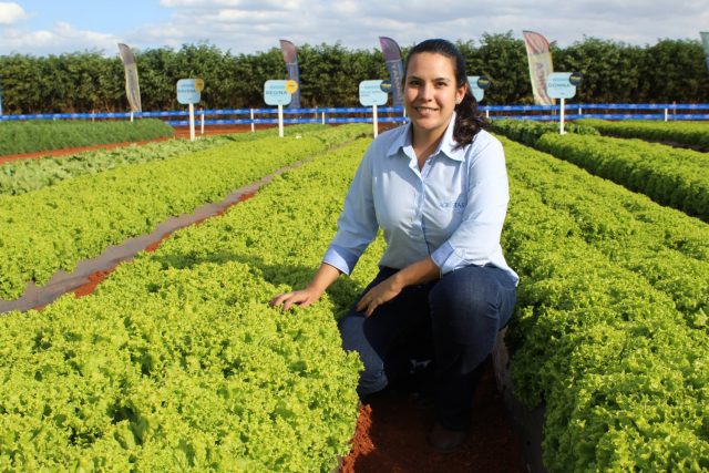 Agristar do Brasil cria programa de melhoramento de alfaces e contrata pesquisadora