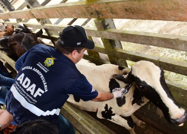 Concurso para Defesa Agropecuária