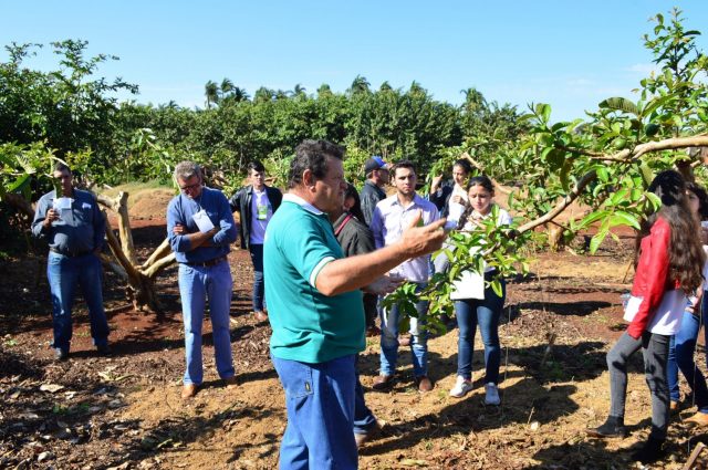 Fruticultura-em 2019- Senar-MS capacitou 5 alunos por dia