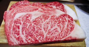 principais produtores de carne bovina do mundo