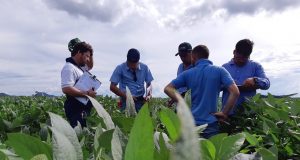 agricultura soja visita em lavoura homens agronomos