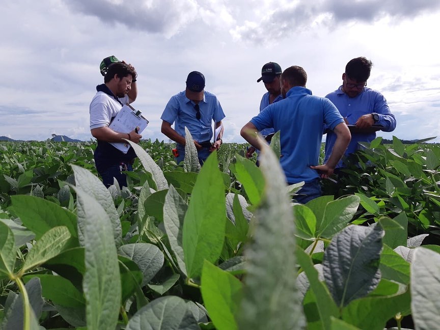 agricultura soja visita em lavoura homens agronomos