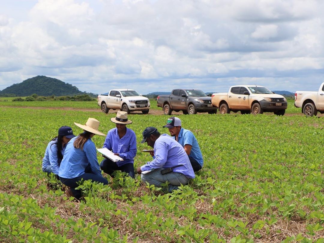 agricultura soja visita em lavoura homens agronomos