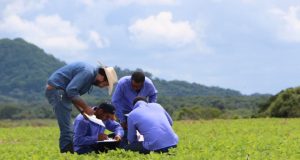 agricultura soja visita em lavoura homens agronomos