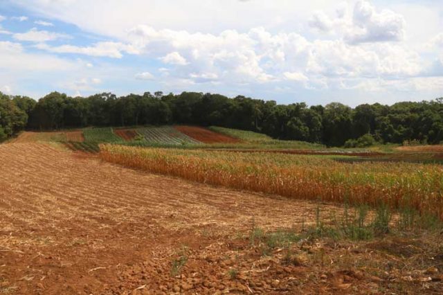 area rural santa cruz do sul