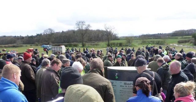 farmers-auction-1.jpg.optimal