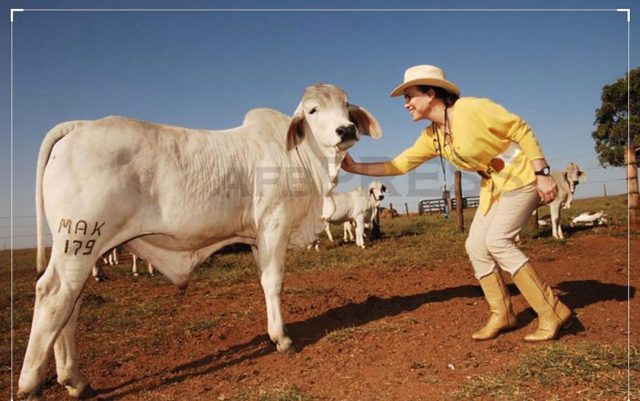 regina duarte e seu amor pela pecuaria