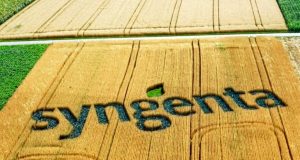 syngenta