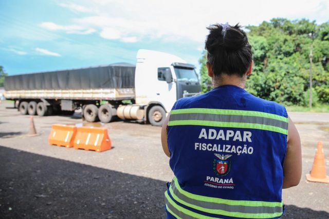 Paraná lança concurso para reforçar defesa agropecuária