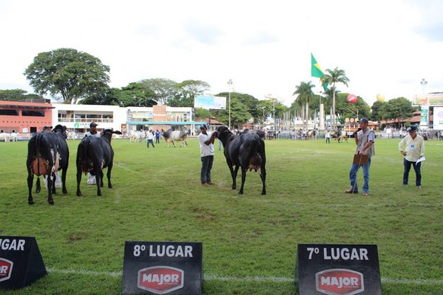 Expozebureduzida