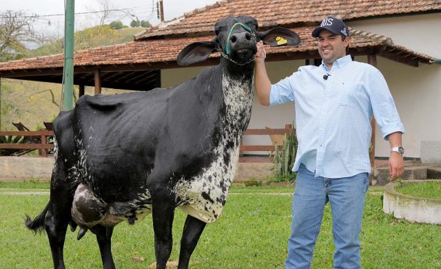 GIROLANDO recebe a chancela do GUINNESS WORLD RECORDS