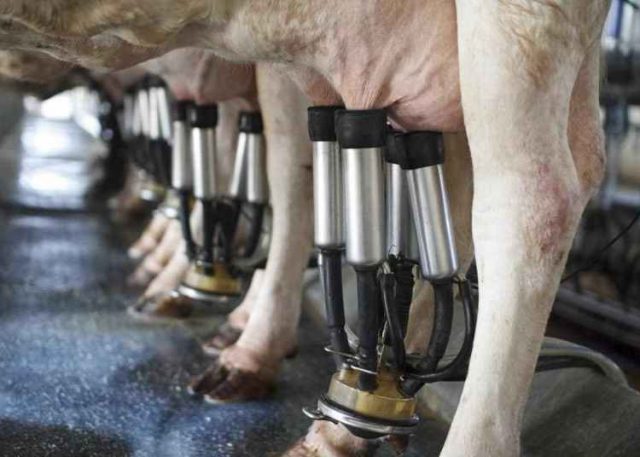 produtores de leite deixam atividade