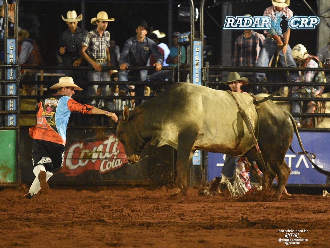 Festa do Peão terá o Circuito Rancho Primavera, melhor competição de rodeio  do país