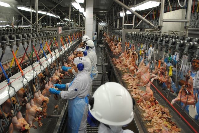 brf foods inside