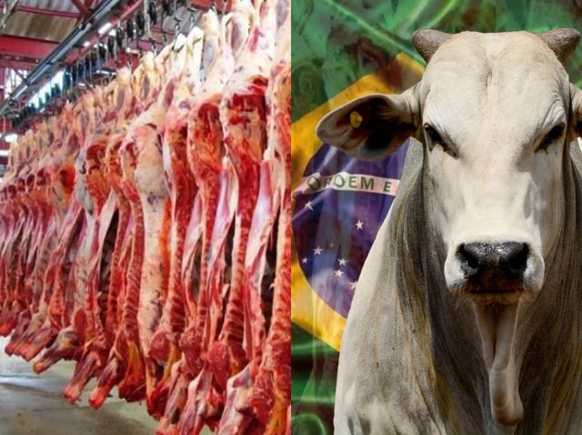 carne brasileira