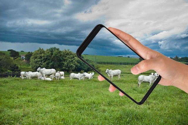 pecuarista encomenda chuva pelo celular