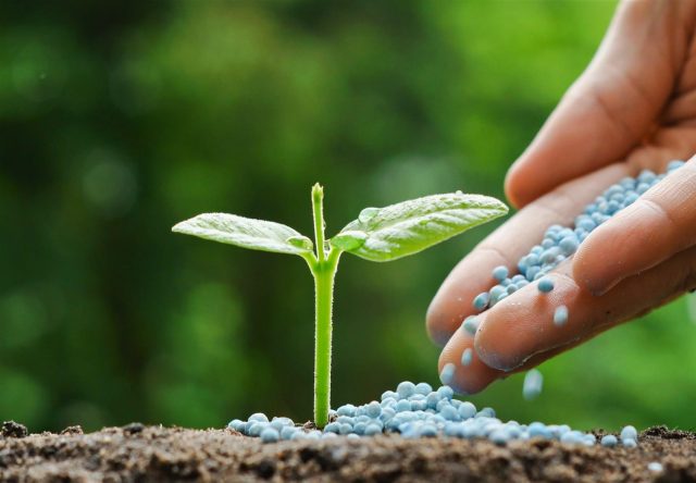 fertilizantesnaagricultura fertilizantesnaagricultura