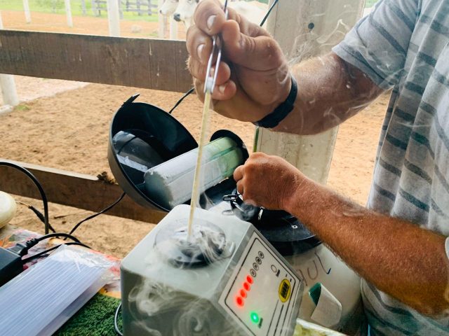 inseminacao artificial em tempo fixo