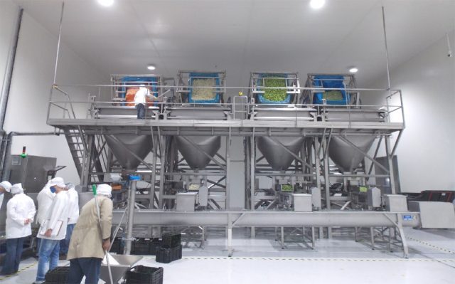 novo modelo de reator que descontamina vegetais 3