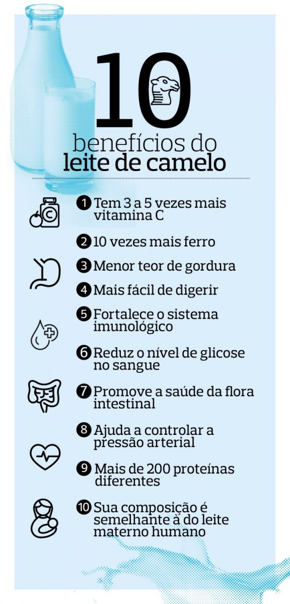 Litro do leite chega a R$ 65, conheça o leite mais caro! - CompreRural