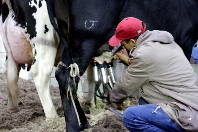 produtores deixam a atividade